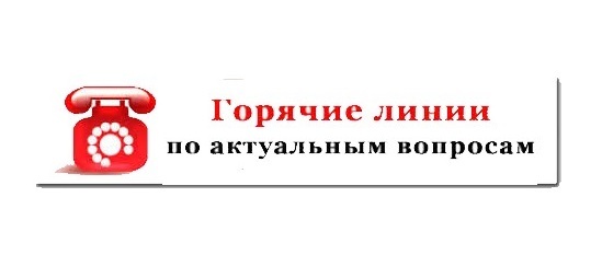 На Камчатке продолжают активную работу Горячие линии в органах власти